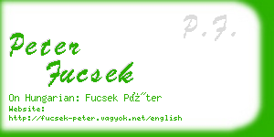 peter fucsek business card